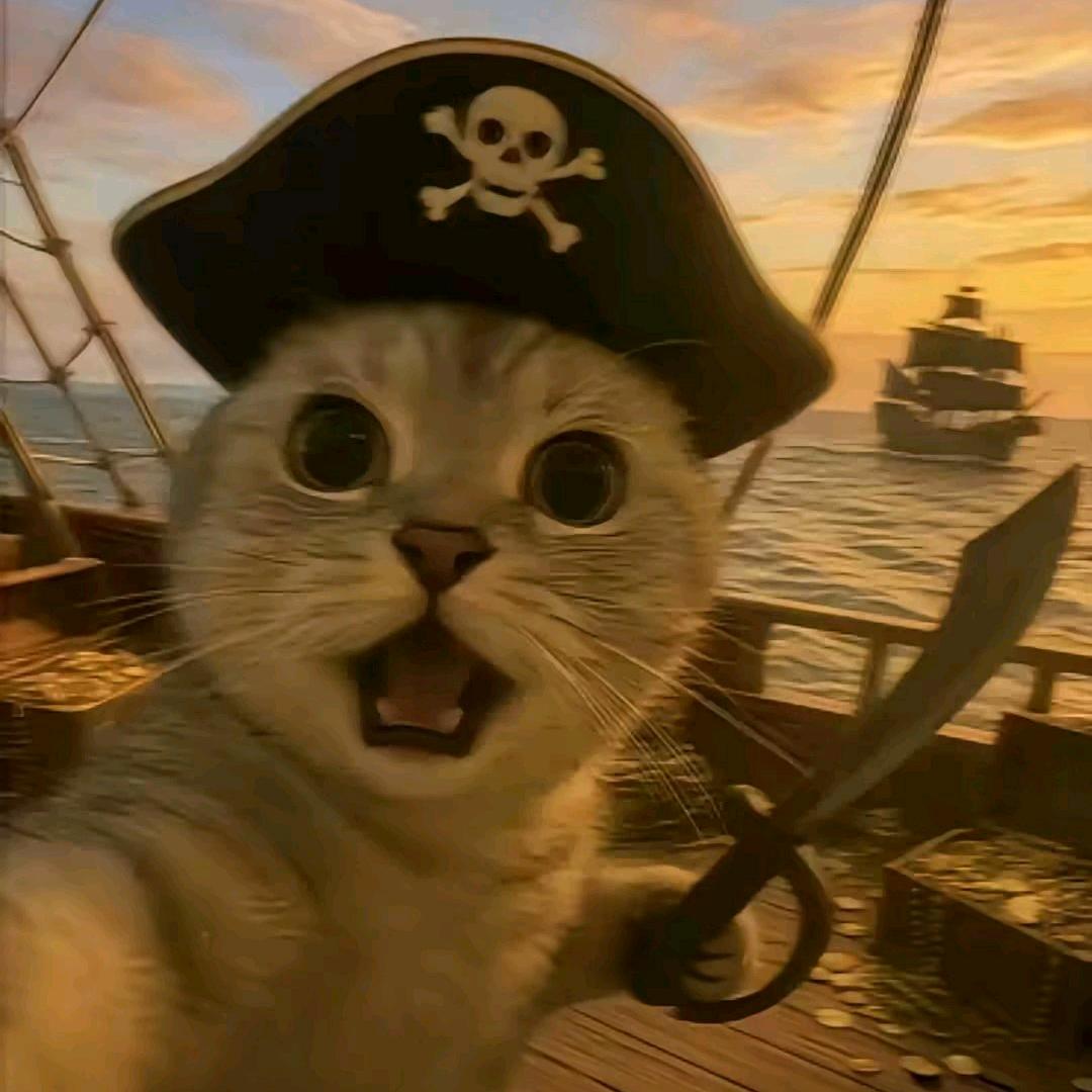 猫_