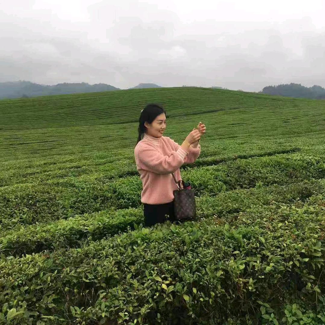 喝茶听雨
