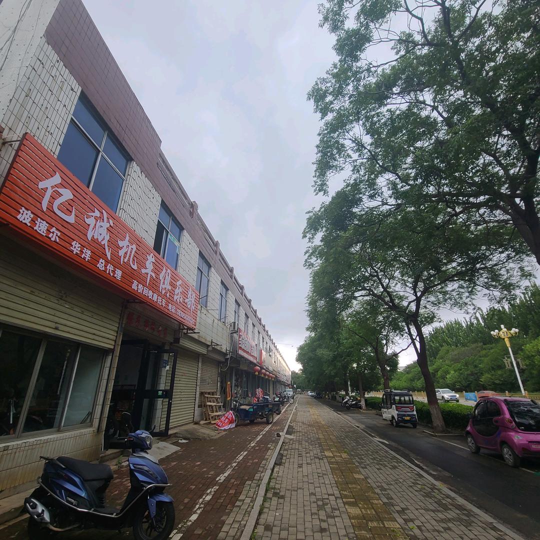 曲阜越野车踏板