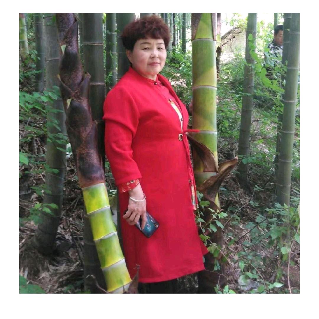 宋素红