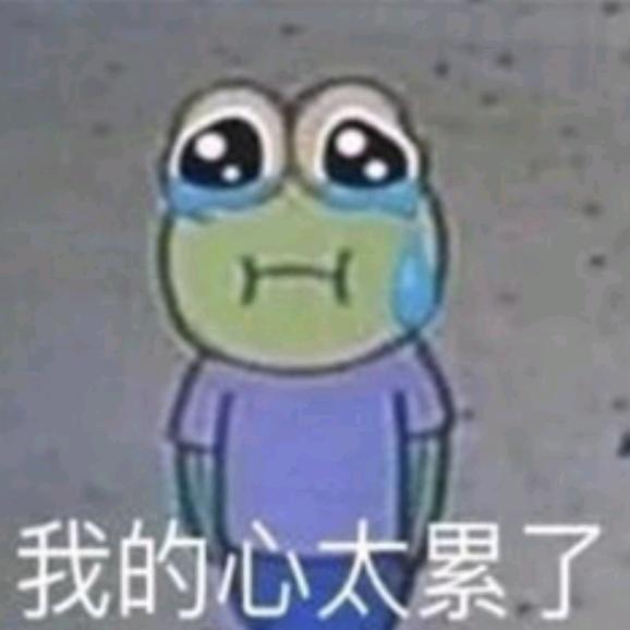 大井盖子zZ