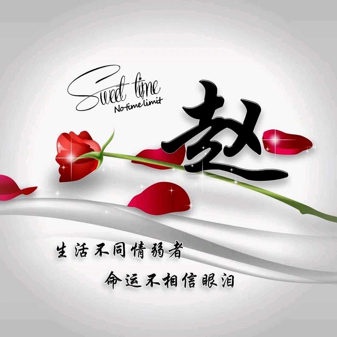 -岁月静好/