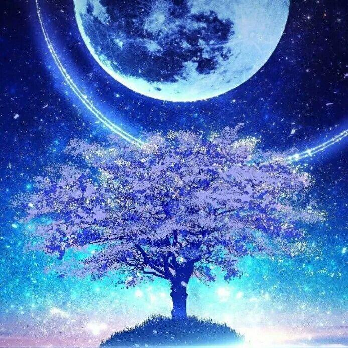 敏而不慌