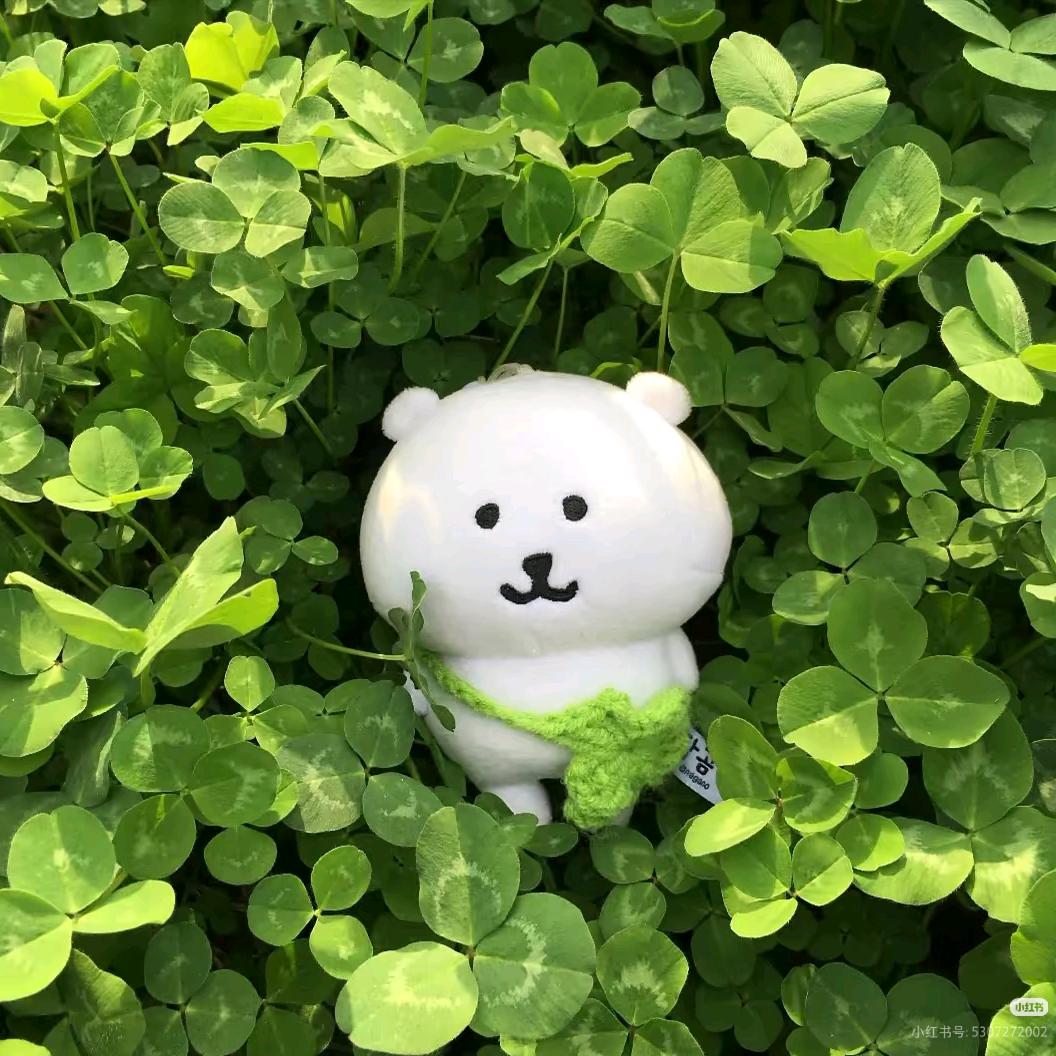 幸運の四叶草🍀