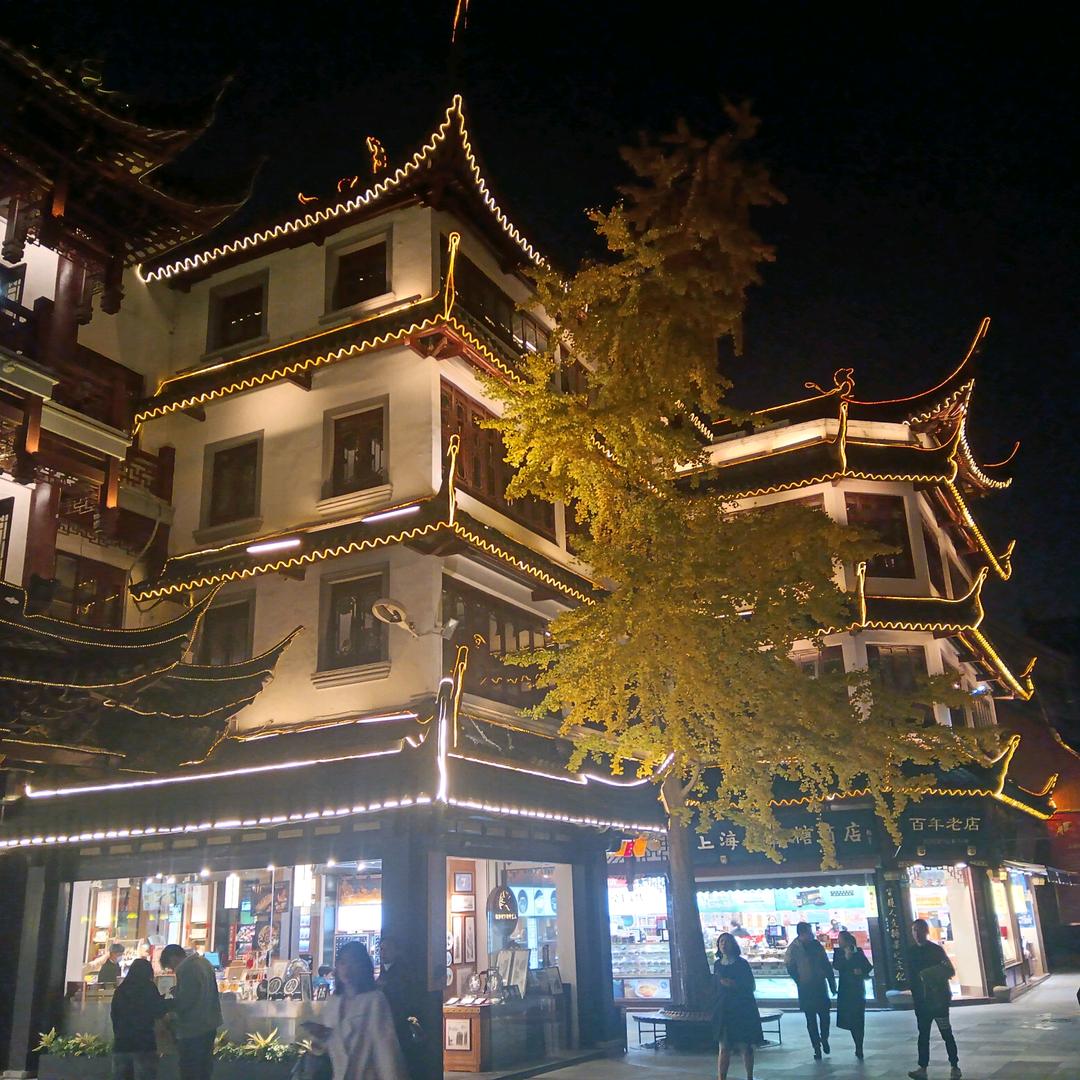 舞奇