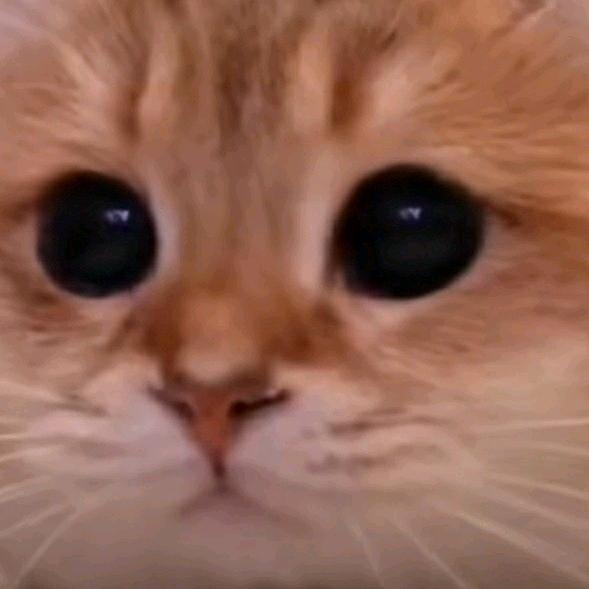 小π