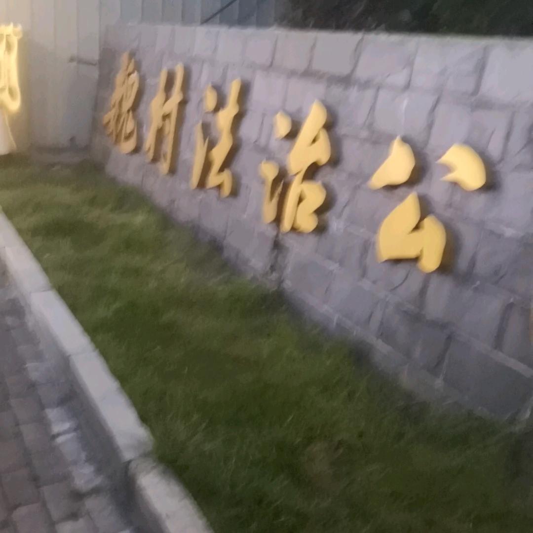 飞鹰
