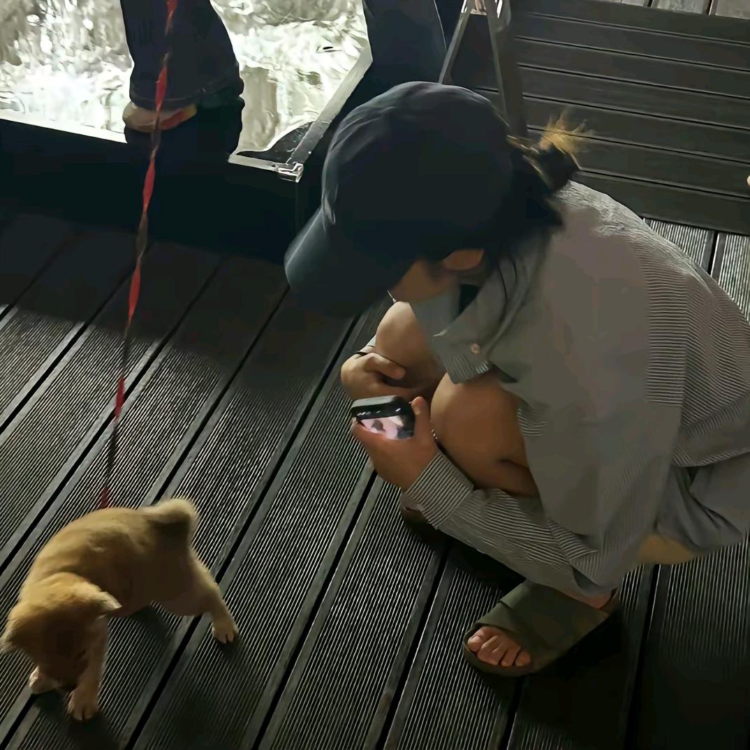 百信商场的青平头像