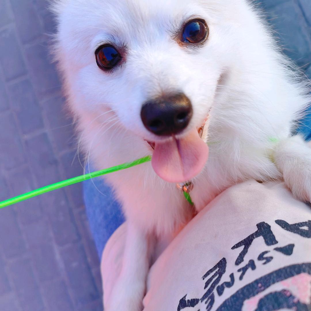 🥰🥰婷儿