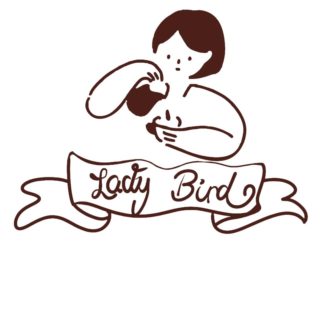 伯德小姐🍑(lady bird)