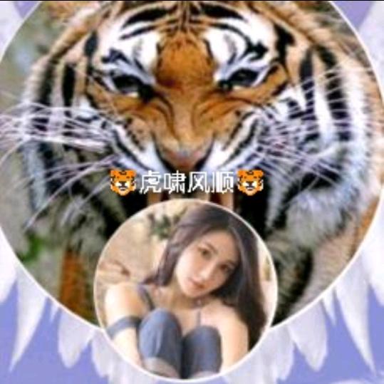 🐯🐅🐅风顺🦁