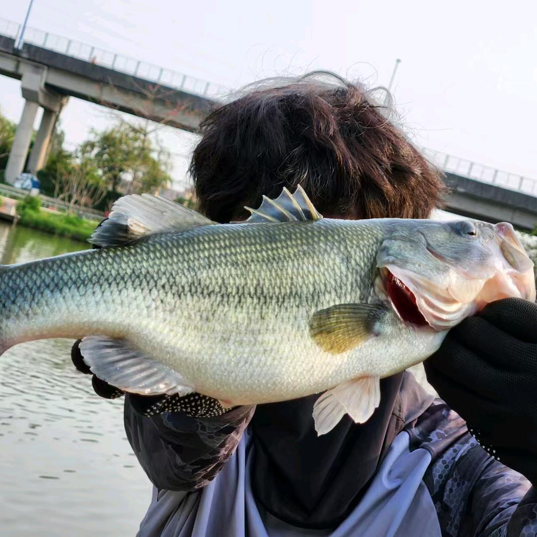 去钓鱼吗🎣