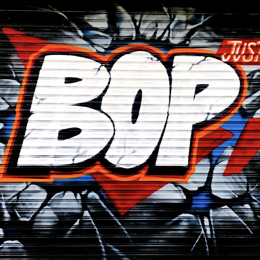 BOP保镖车衣-临沂运营商