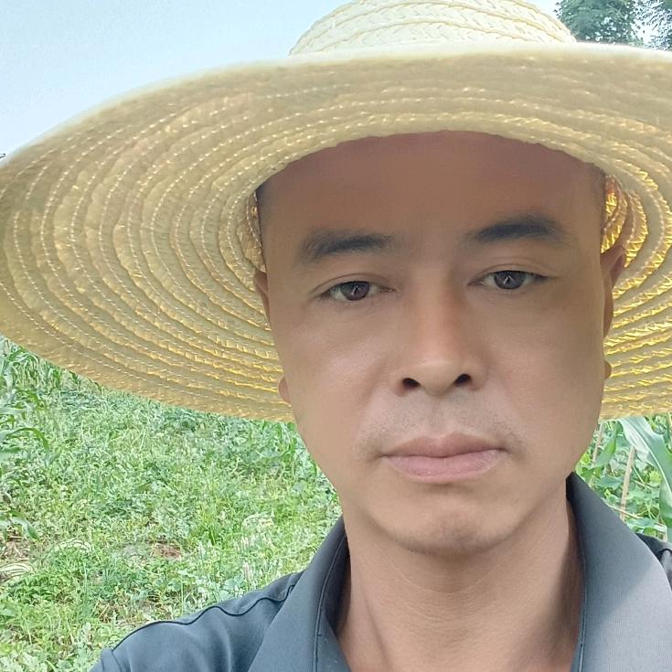 杨岭二哥