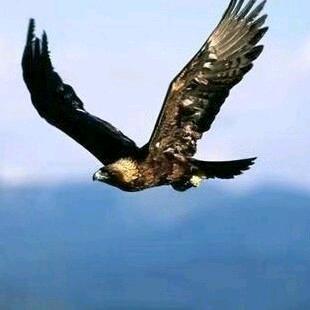 💍删除👈过往🧜