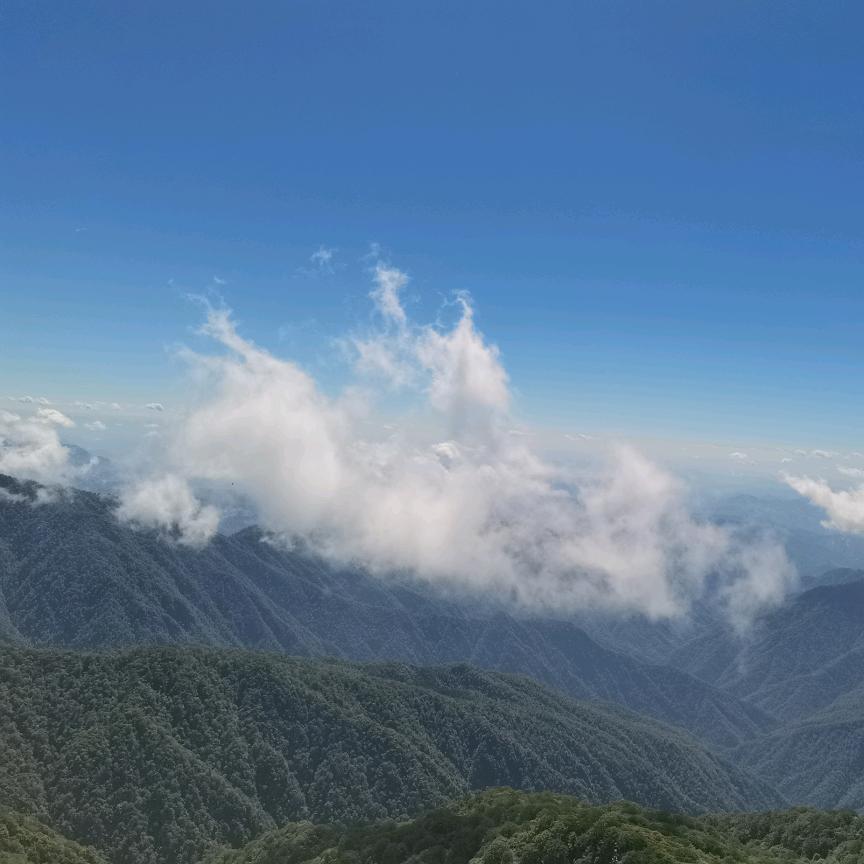 温馨家园
