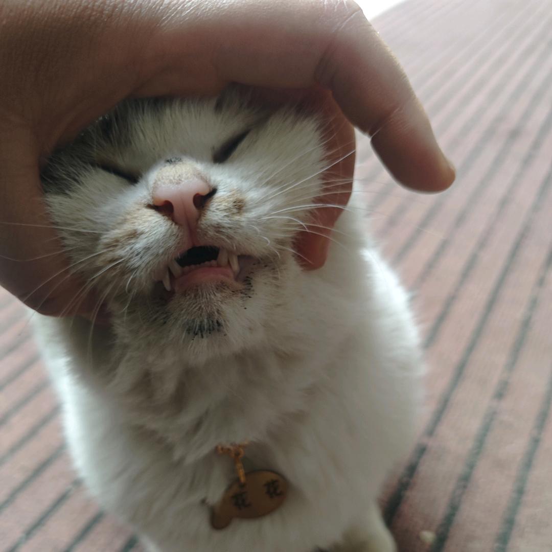 觅卿卿卿卿卿卿