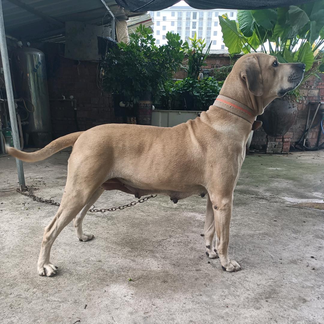 泰和县禾市镇懿家电器店