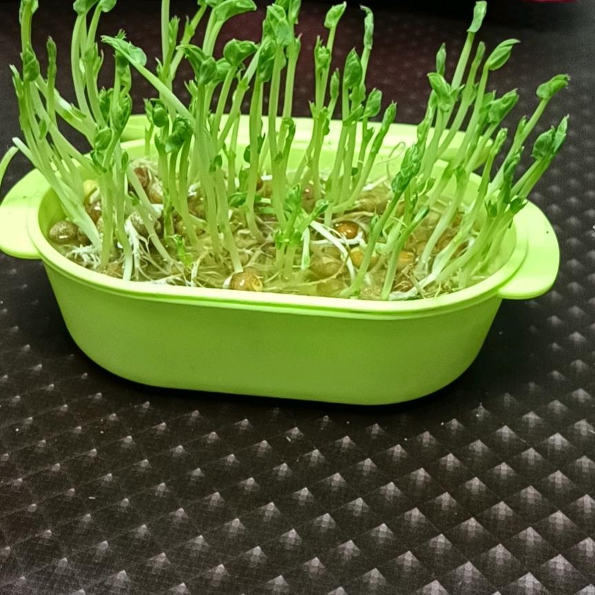 李游手好闲