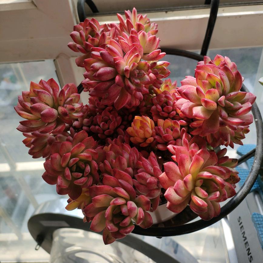 快乐每一天