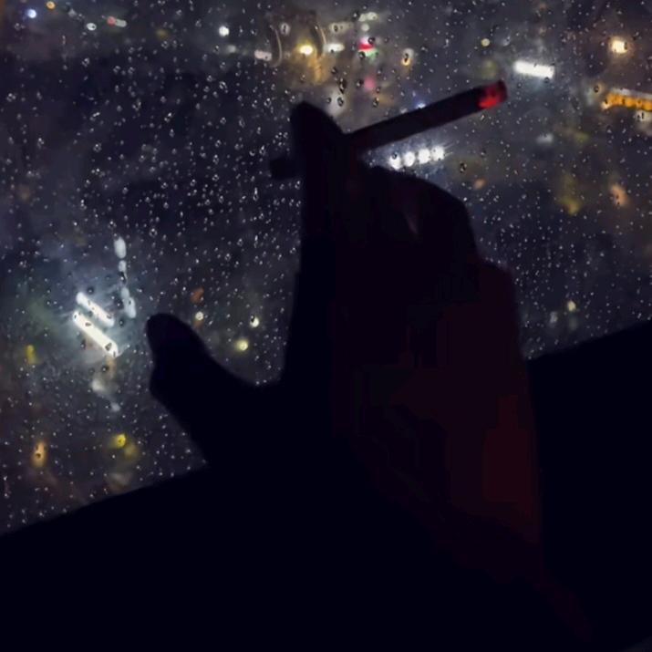 大风子的风