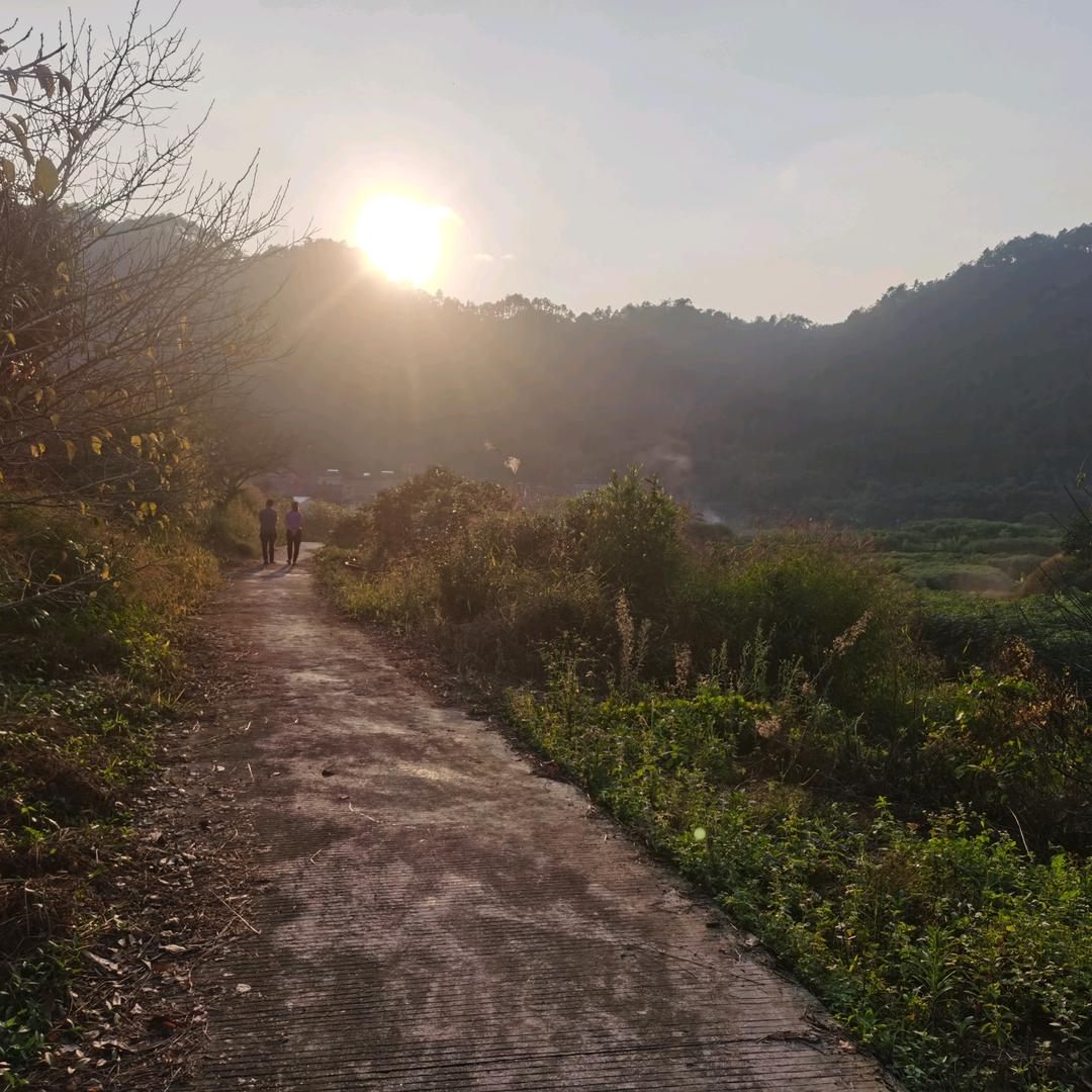 杨hl