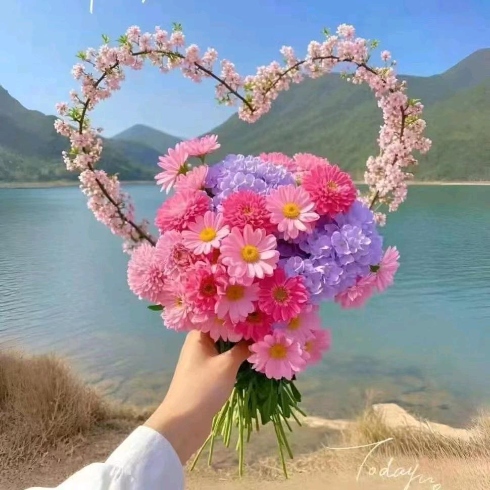 沈阳市和平区江赛典商贸行（个体工商户）