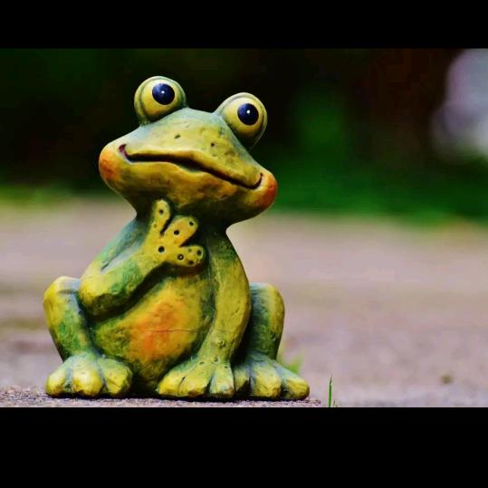 打不死的小强，给自己加油