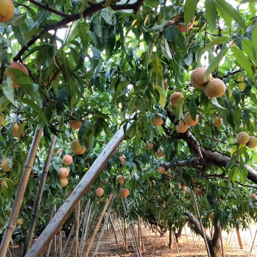 无言的结局