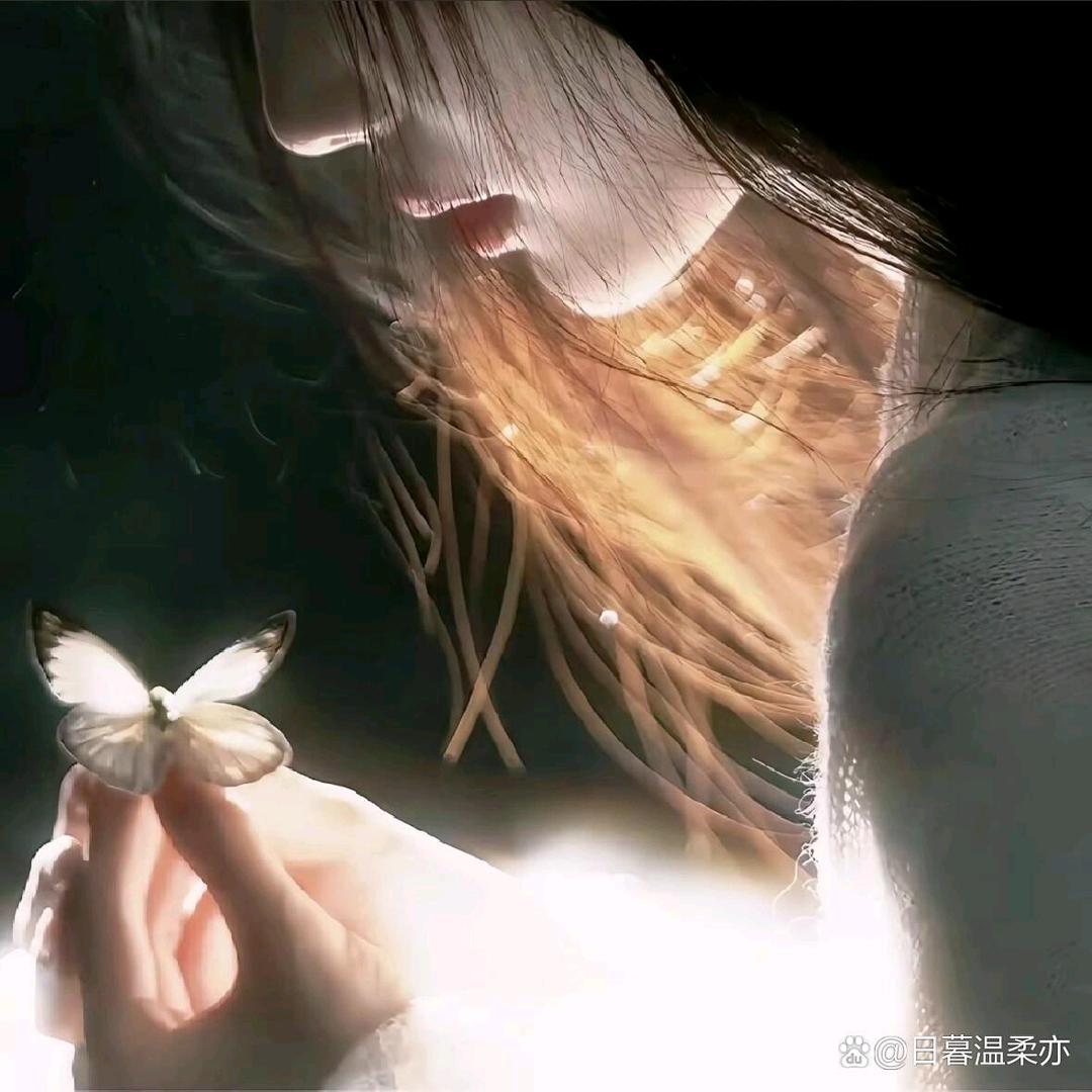 一笔栀子白