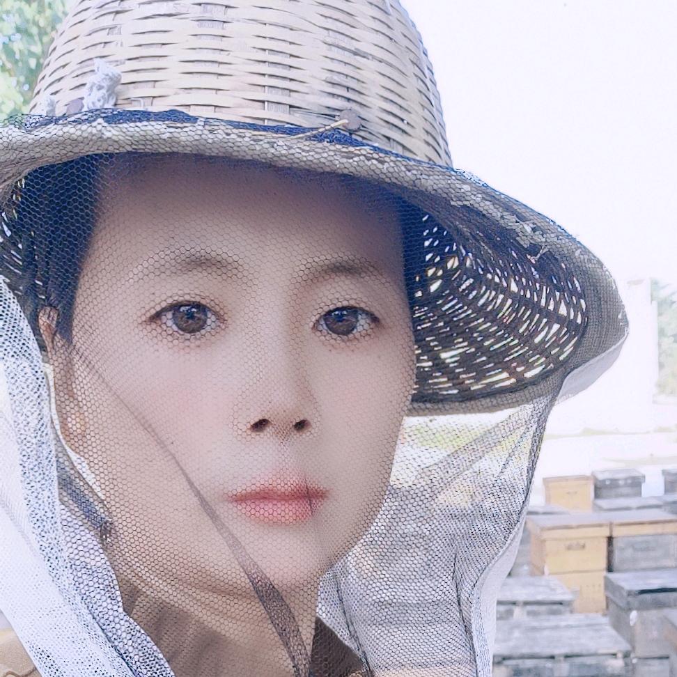 《刘亮蜂场》卖蜂蜜的小鱼