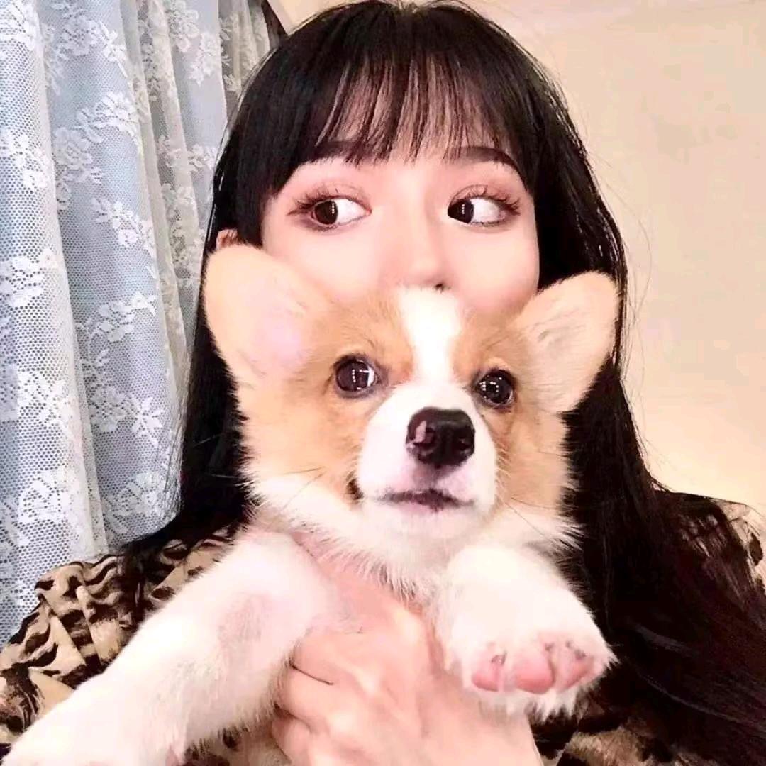 梅子