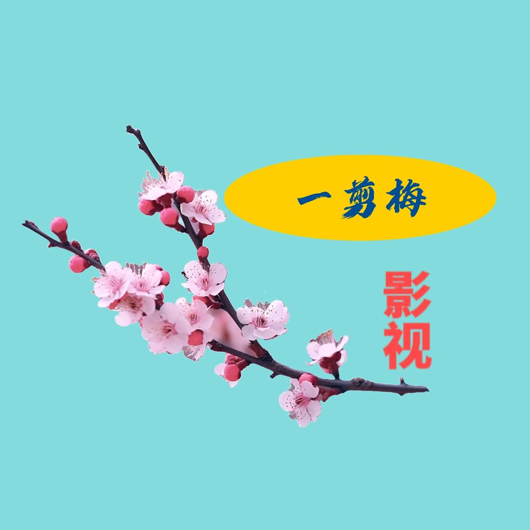一剪梅影视