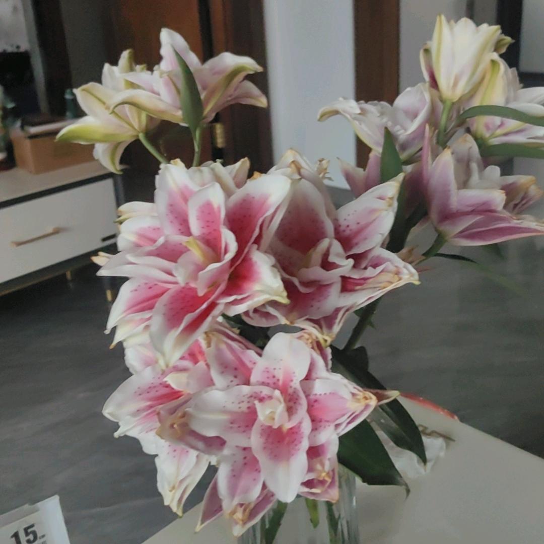 春风微暖