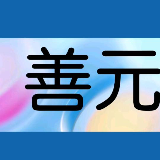 高密市善元服装有限公司
