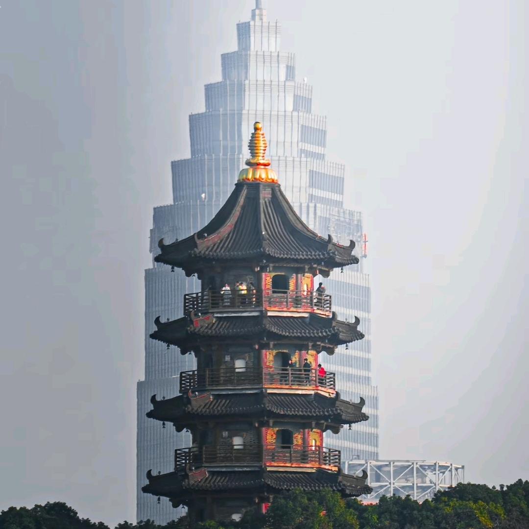 《懒得起名字》