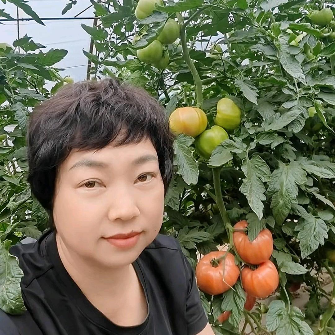 鲅鱼圈鲜七天蔬菜场