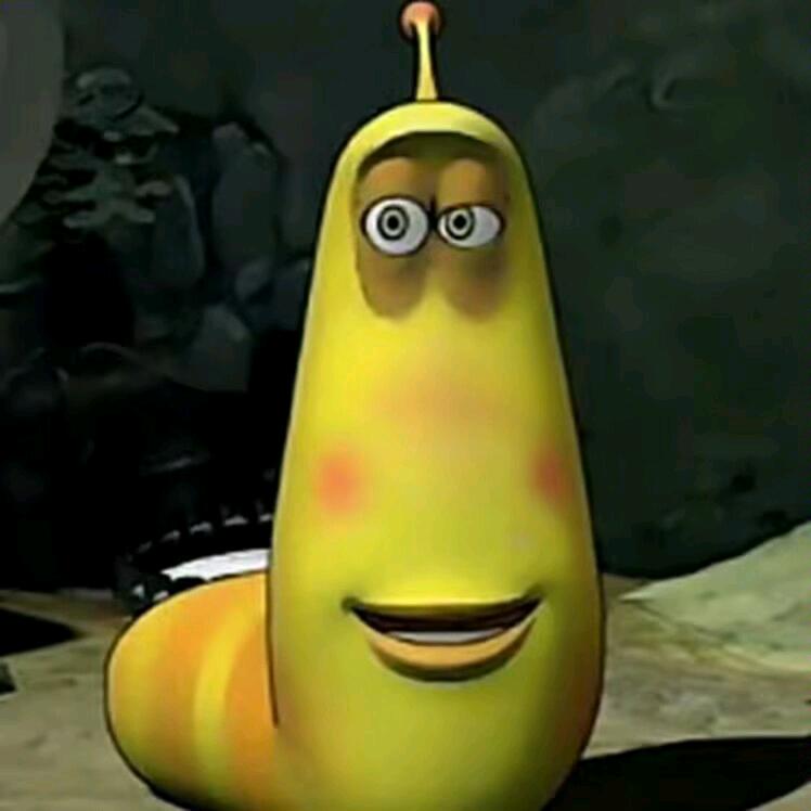 蛋