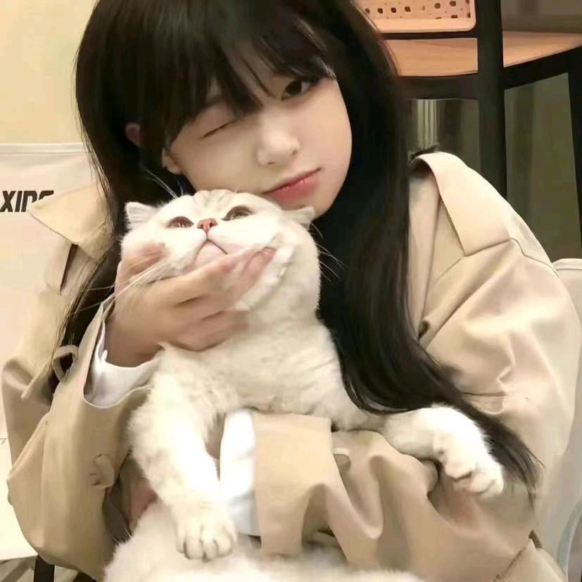 听说开新号能火