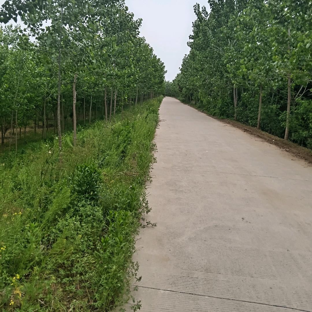 来者要惜去者要放