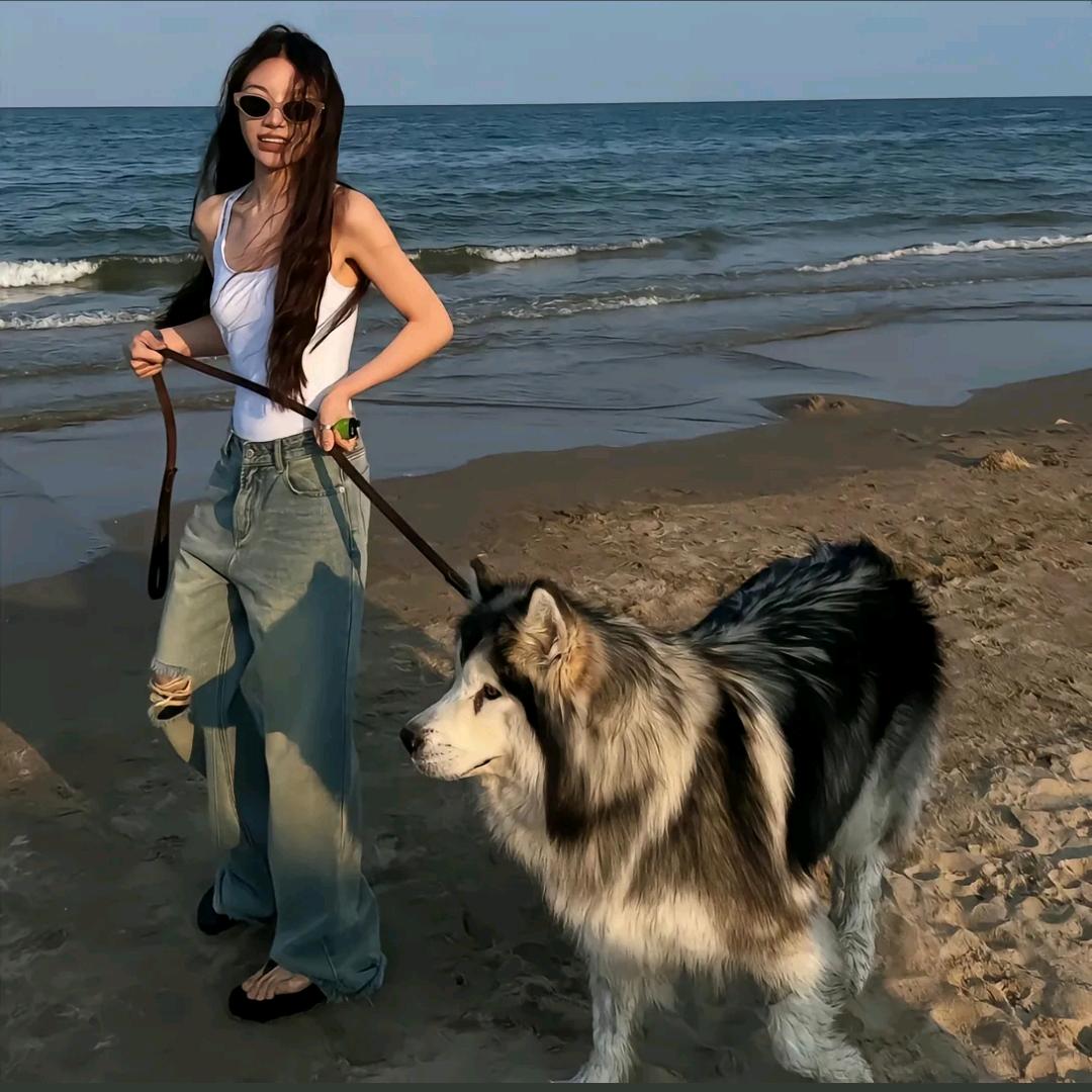 竹子梅梅