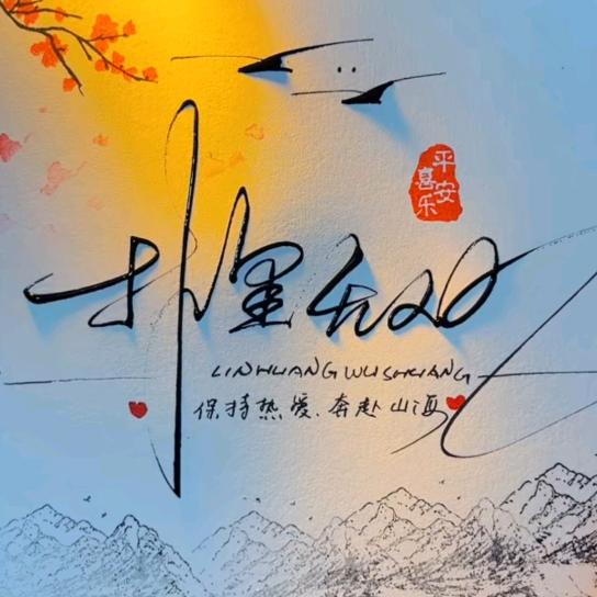 SZ林皇无双