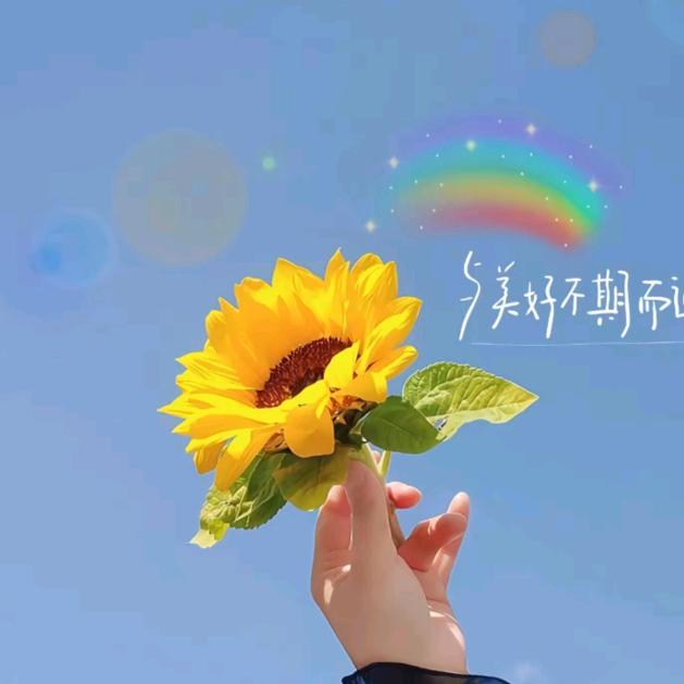 萌璐