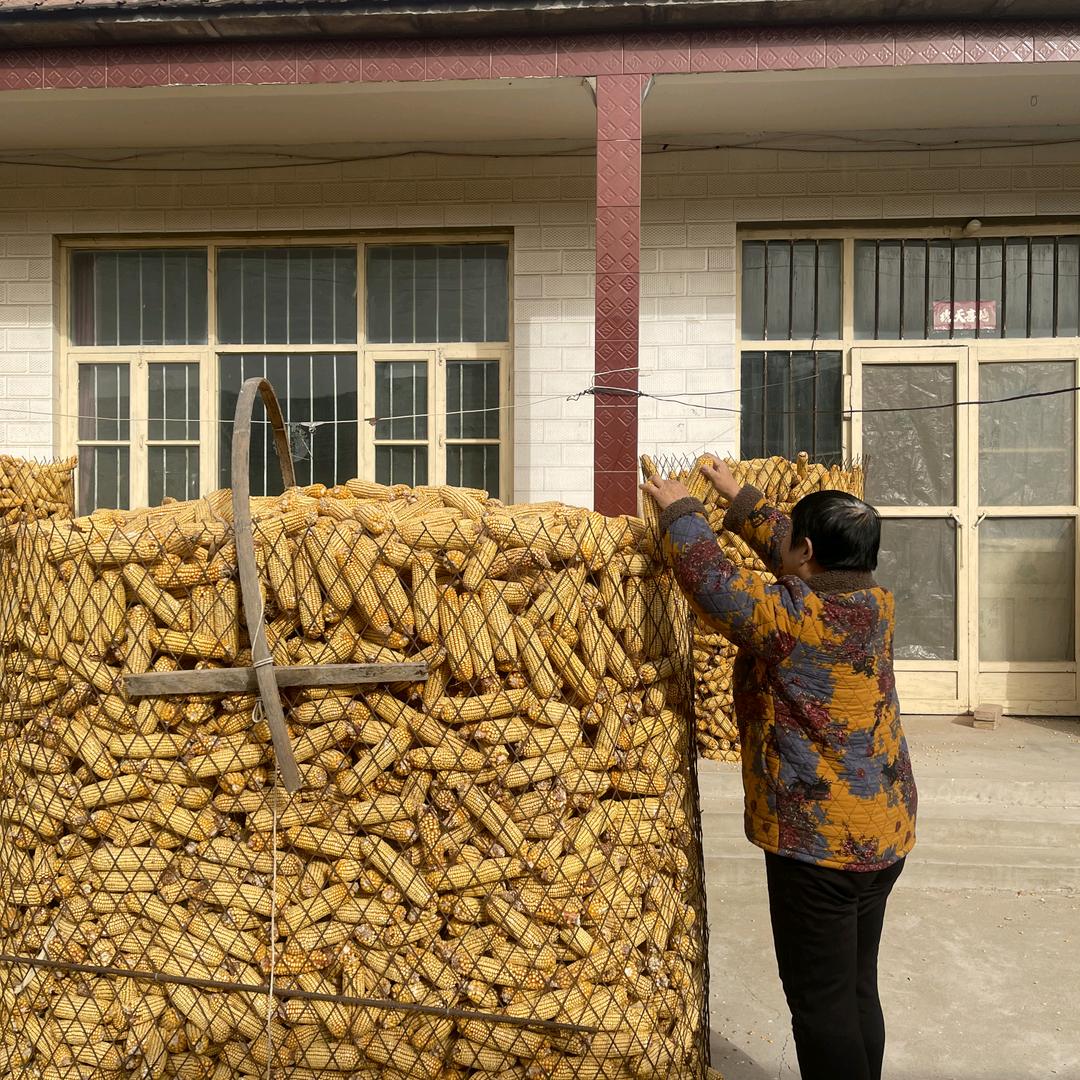 农村玲姐聊天唱歌