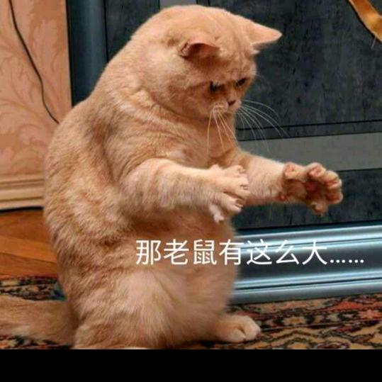 总有刁民想害郑