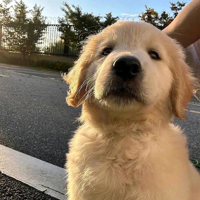 禾沂（许嵩见过版）