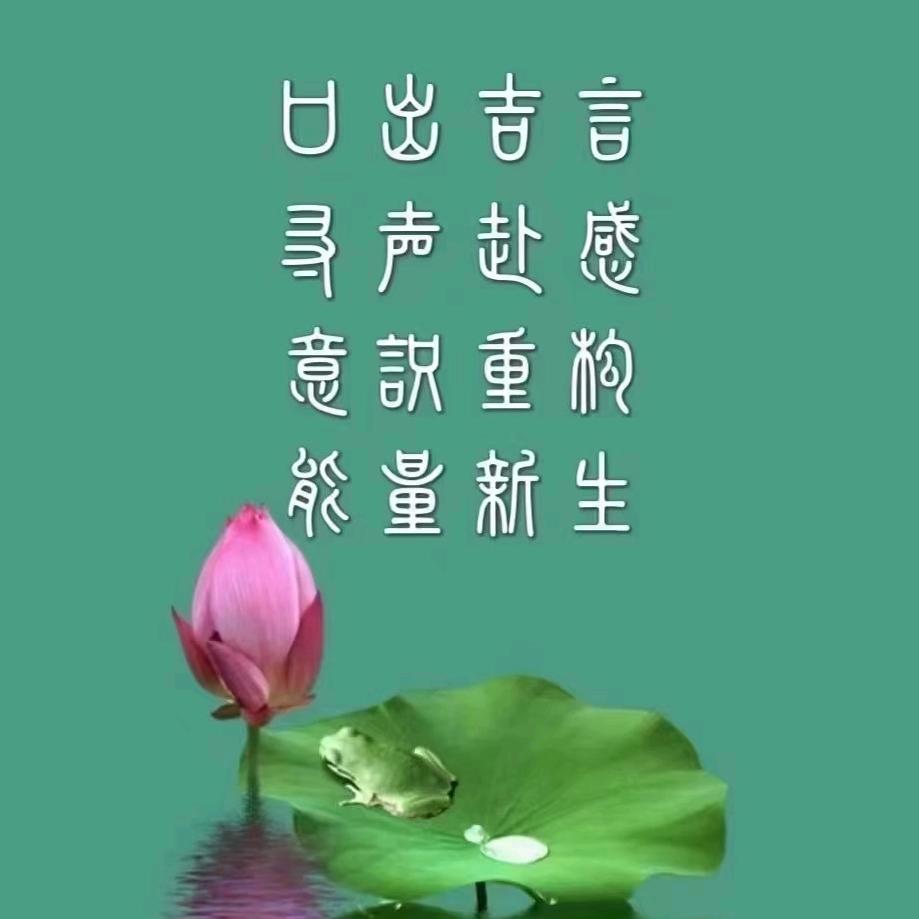 无欲无求