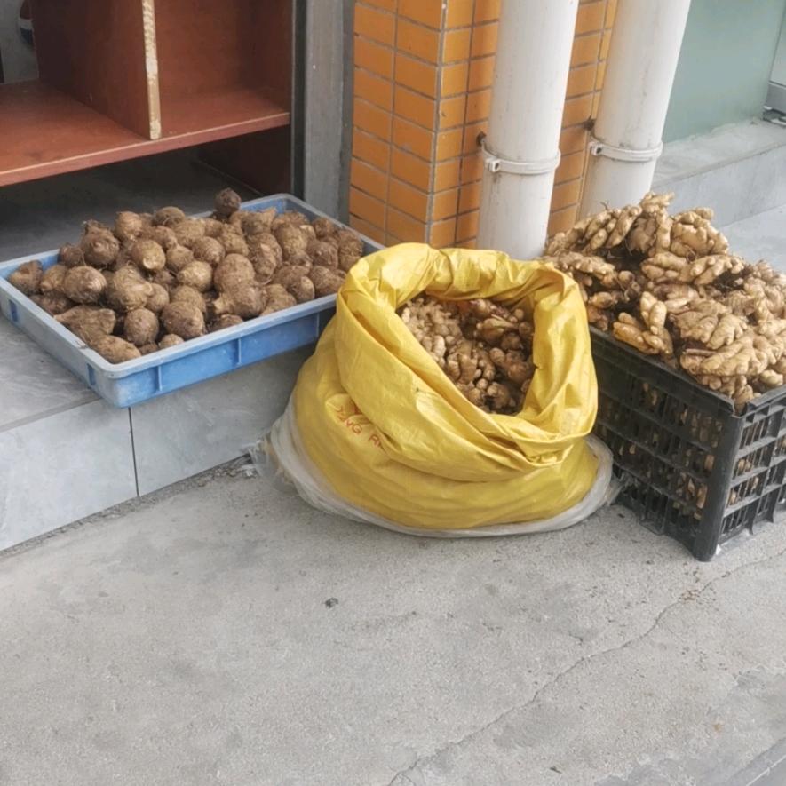 半梦半醒半痴癫