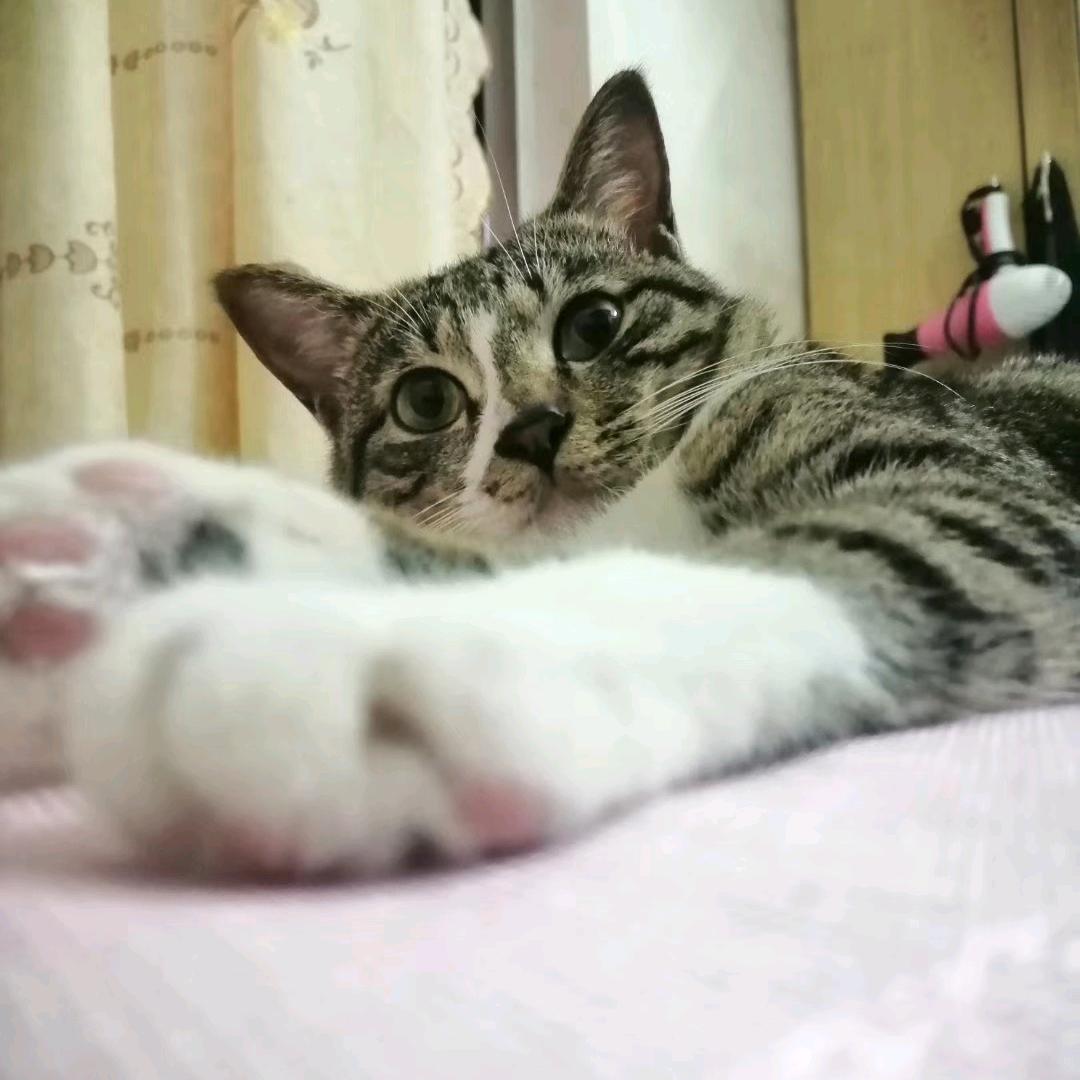 心暖疗愈站