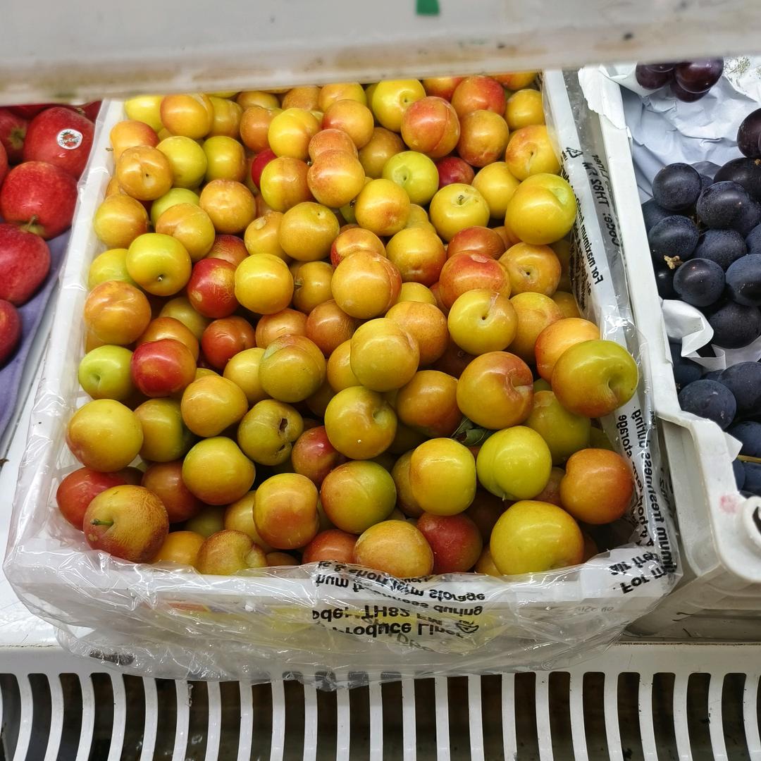 🍊好运常伴左右🍊